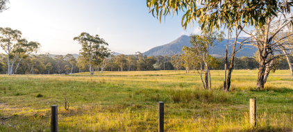 northern tablelands